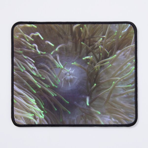 Item preview, Coral designed and sold by Maxiverse.