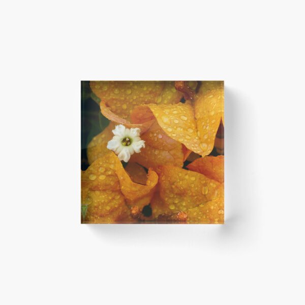 Item preview, Bougainvillea Orange designed and sold by Maxiverse.