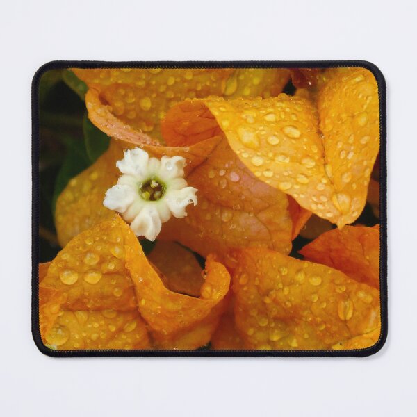 Item preview, Bougainvillea Orange designed and sold by Maxiverse.