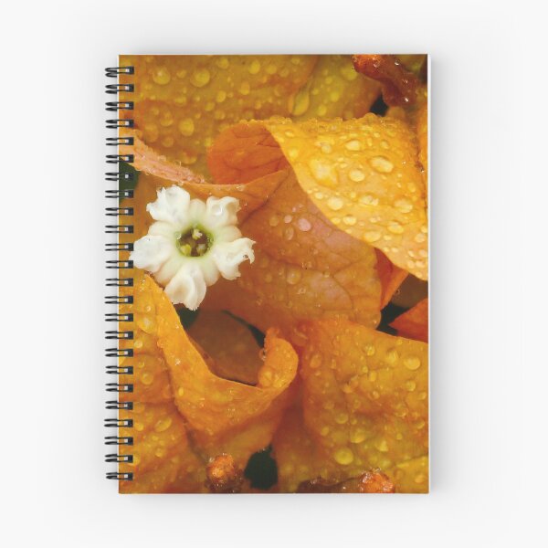 Artikelvorschau, Bougainvillea Orange entworfen und verkauft von Maxiverse.