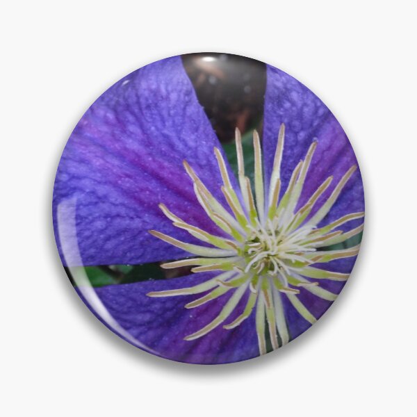 Item preview, Indigo Clematis designed and sold by Maxiverse.