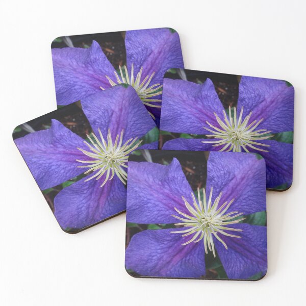 Item preview, Indigo Clematis designed and sold by Maxiverse.