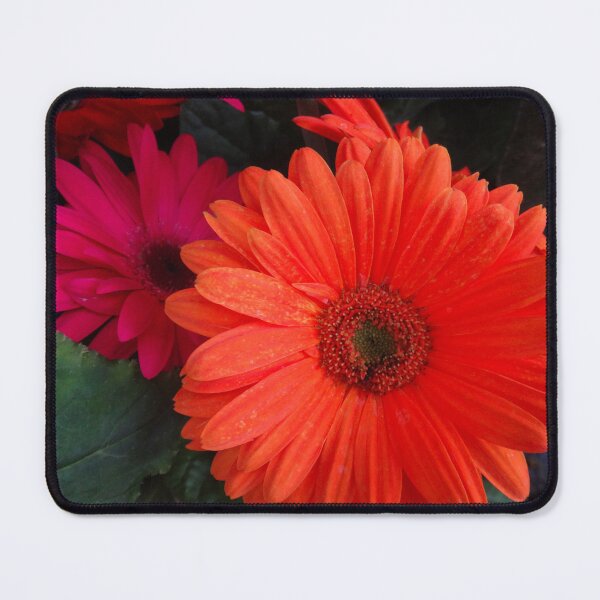 Item preview, Astra Orange designed and sold by Maxiverse.