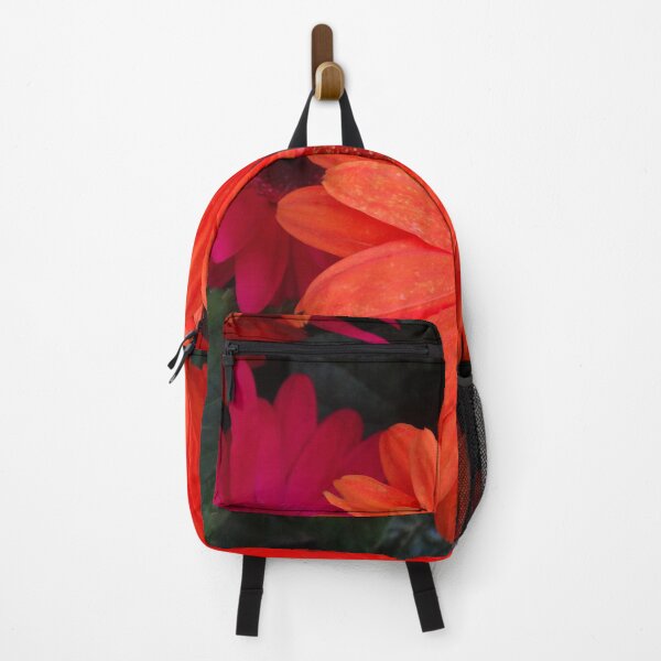 Item preview, Astra Orange designed and sold by Maxiverse.
