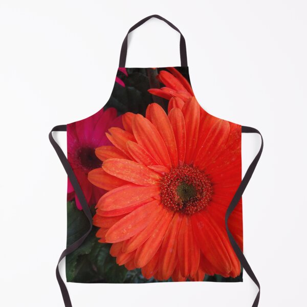 Item preview, Astra Orange designed and sold by Maxiverse.