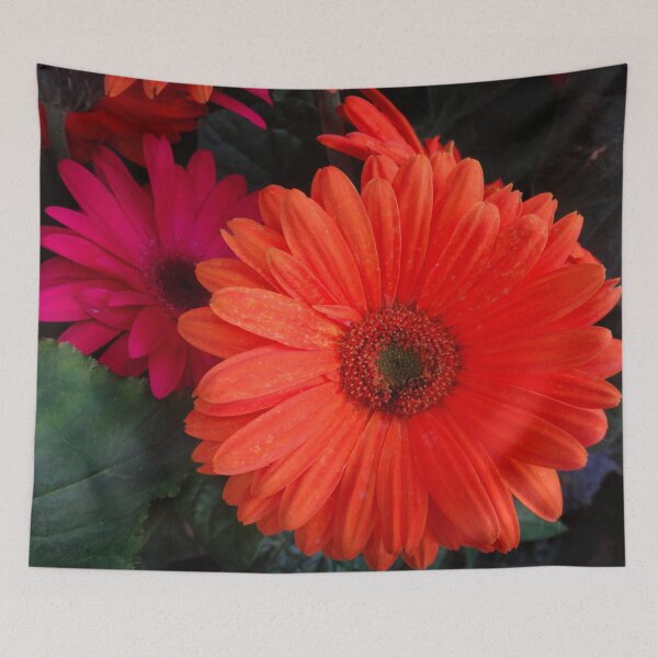 Item preview, Astra Orange designed and sold by Maxiverse.