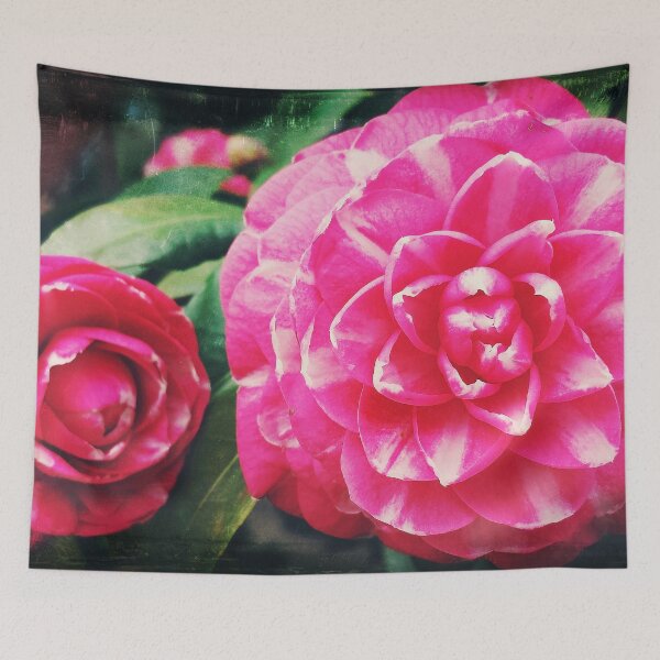 Item preview, Pink fibonacci designed and sold by Maxiverse.