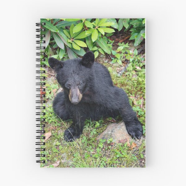 Item preview, The Yearling designed and sold by KPcaptures.