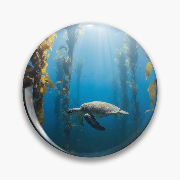 Item preview, Turtle swimming through kelp designed and sold by AnthonyThomas.