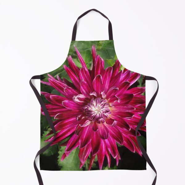 Item preview, Fuscia Dahlia designed and sold by Maxiverse.