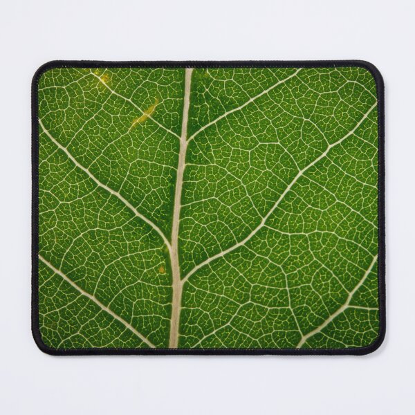 Item preview, Leaf Macro designed and sold by Jeffrey Ralph.
