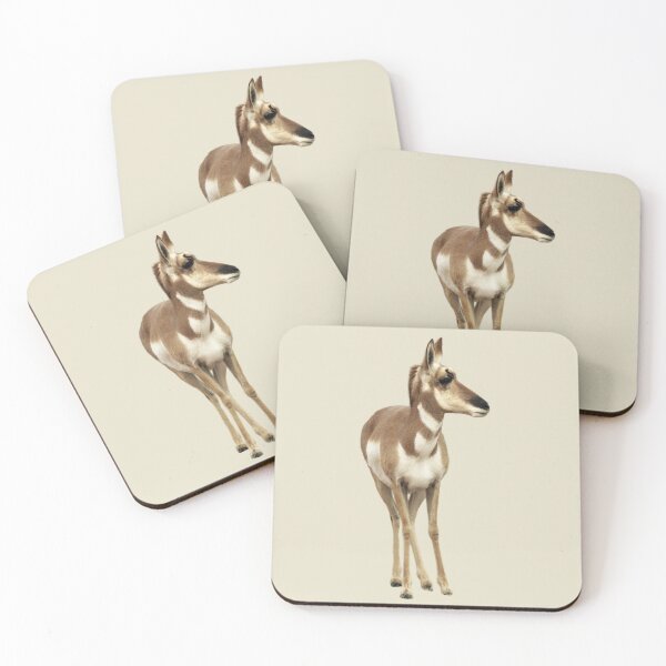 Item preview, Wild animal related to giraffe is a Pronghorn designed and sold by MYTOPSHELF.