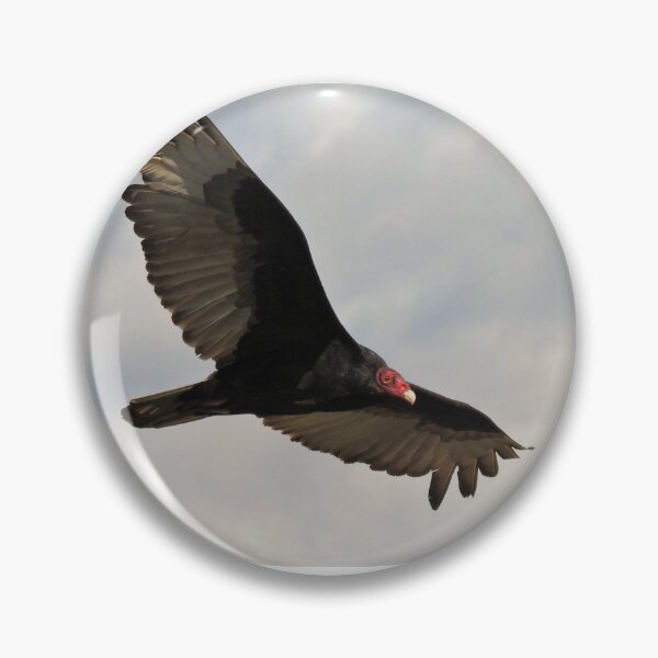 Item preview, A Vulture Flies By designed and sold by Wonders Of Paradise.
