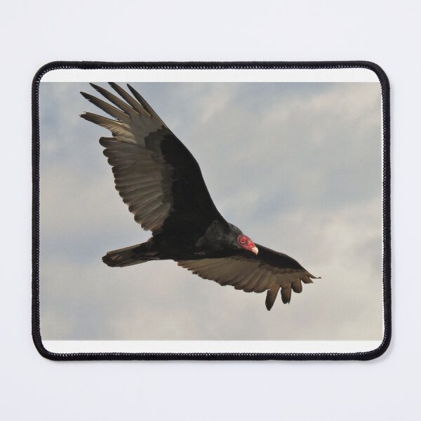Item preview, A Vulture Flies By designed and sold by Wonders Of Paradise.