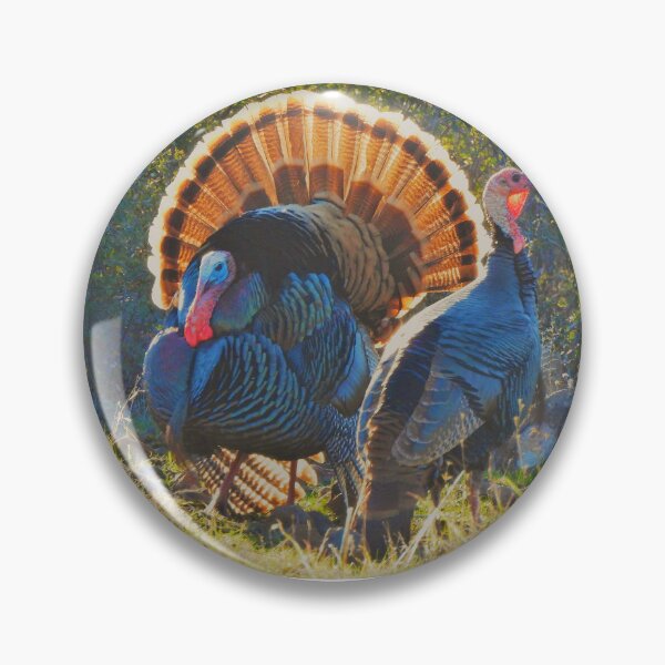 Item preview, A Wild Tom Turkey and Hen designed and sold by Wonders Of Paradise.