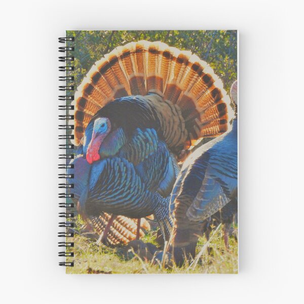Item preview, A Wild Tom Turkey and Hen designed and sold by Wonders Of Paradise.