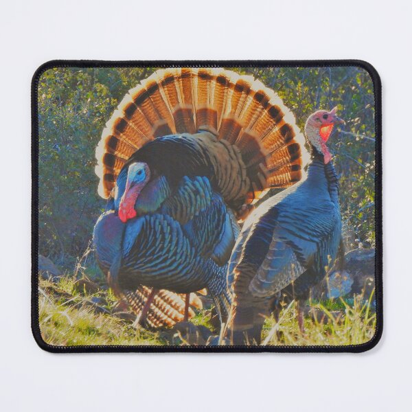 Item preview, A Wild Tom Turkey and Hen designed and sold by Wonders Of Paradise.