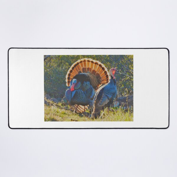 Item preview, A Wild Tom Turkey and Hen designed and sold by Wonders Of Paradise.