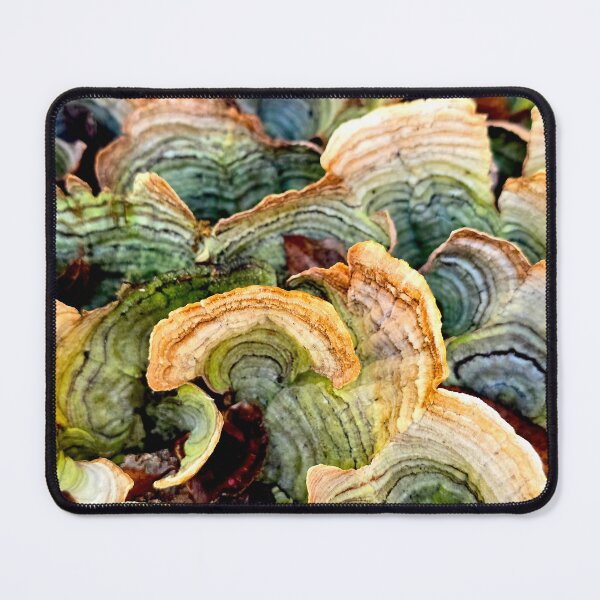 Item preview, Turkey Tail Cluster designed and sold by bjtomiko.