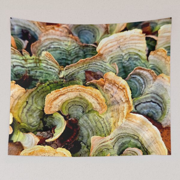 Item preview, Turkey Tail Cluster designed and sold by bjtomiko.