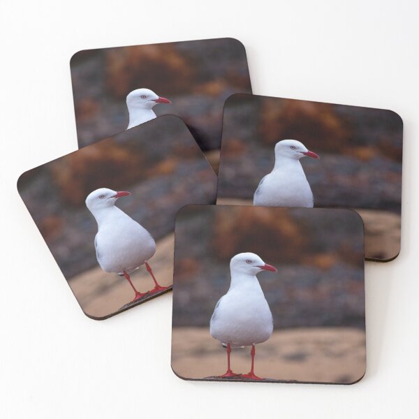 Item preview, Seagull designed and sold by jdrphotos.