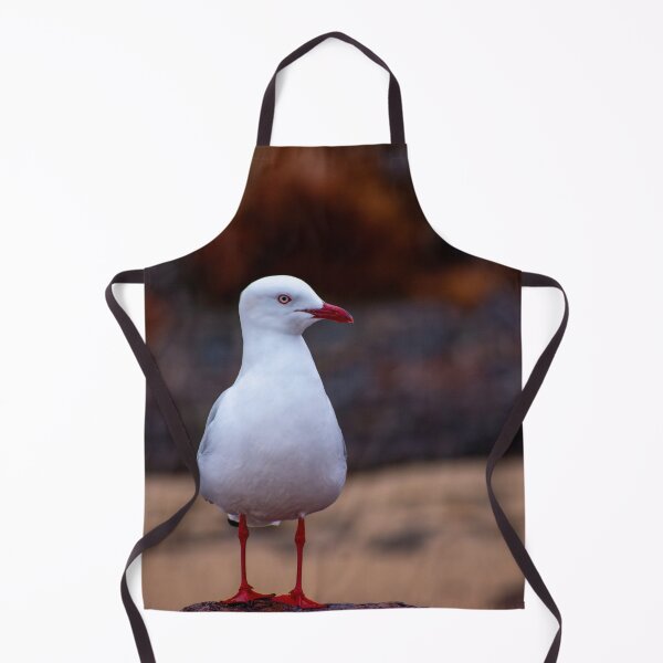 Aperçu de l'œuvre Mouette créée et vendue par jdrphotos.