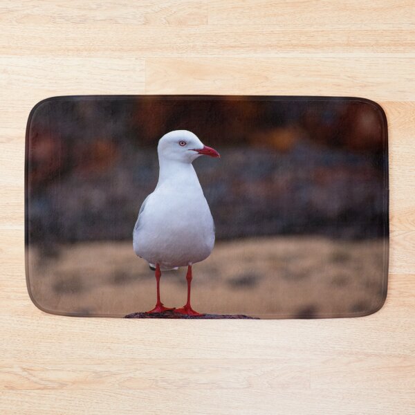 Item preview, Seagull designed and sold by jdrphotos.