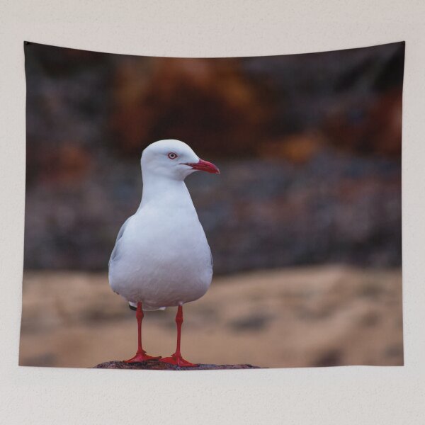 Item preview, Seagull designed and sold by jdrphotos.