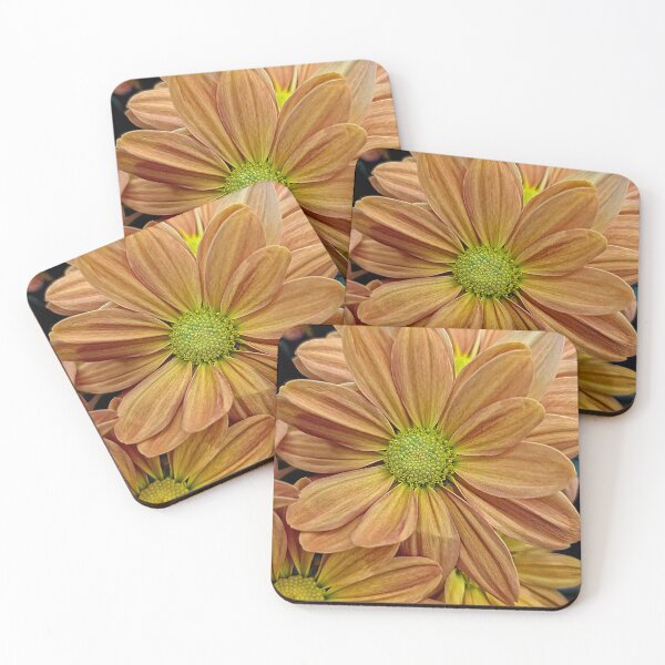 Item preview, Perdido en los pedales designed and sold by Betsy Phillips.