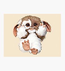 Cutest Gizmo Photographic Print
