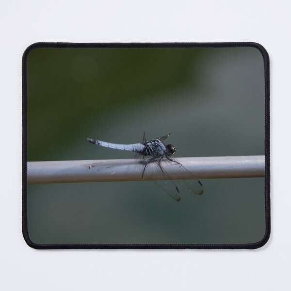 Item preview, Japan - Nagasaki, Dragonfly designed and sold by Natasha Cusmanich.