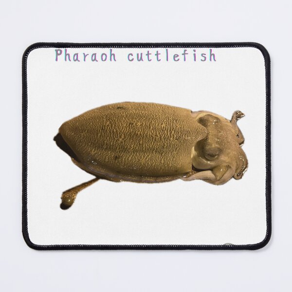 Item preview, No.032 Pharaoh Cuttlefish – The Desert Bay Hunter of Dubai | Gyotaku-Style Art designed and sold by taichi69nz.