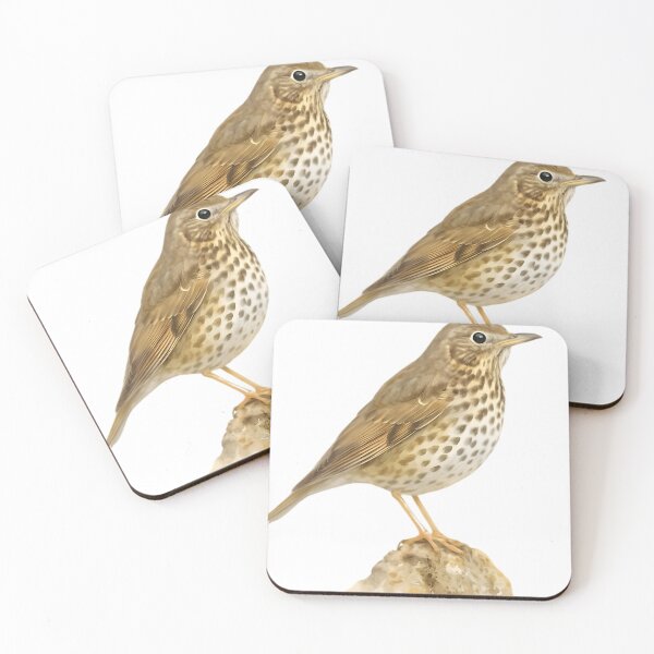 Item preview, Song Thrush (Turdus philomelos) designed and sold by HOMETOWN86.