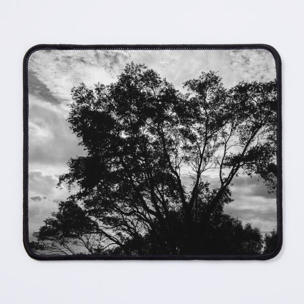 Item preview, Tree in Silhouette designed and sold by Dave Hare Photography.