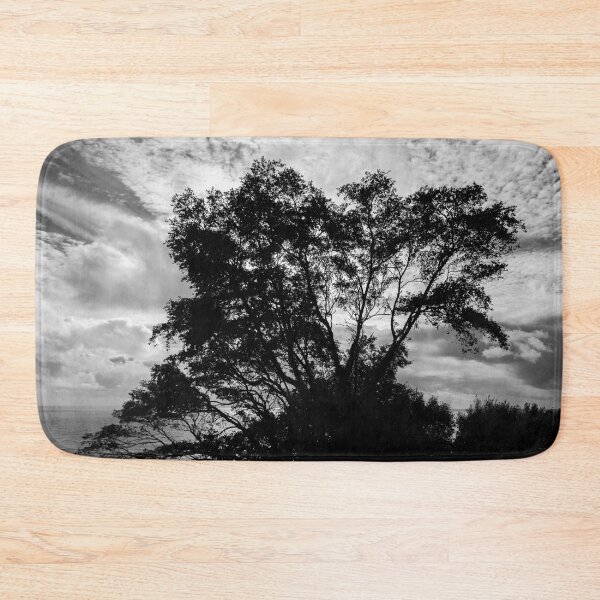 Item preview, Tree in Silhouette designed and sold by Dave Hare Photography.