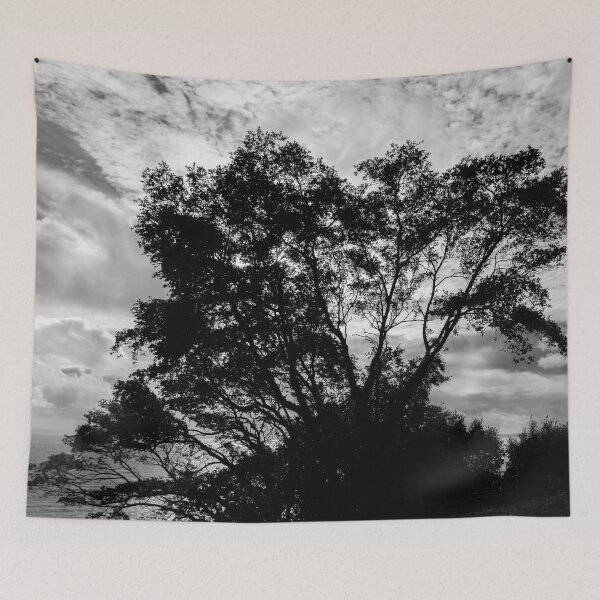 Item preview, Tree in Silhouette designed and sold by Dave Hare Photography.