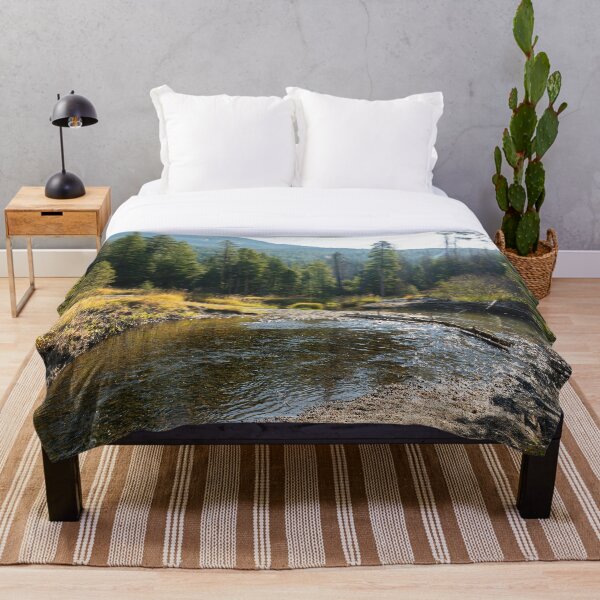 Item preview, Arroyo soleado designed and sold by Imbeccable Images.