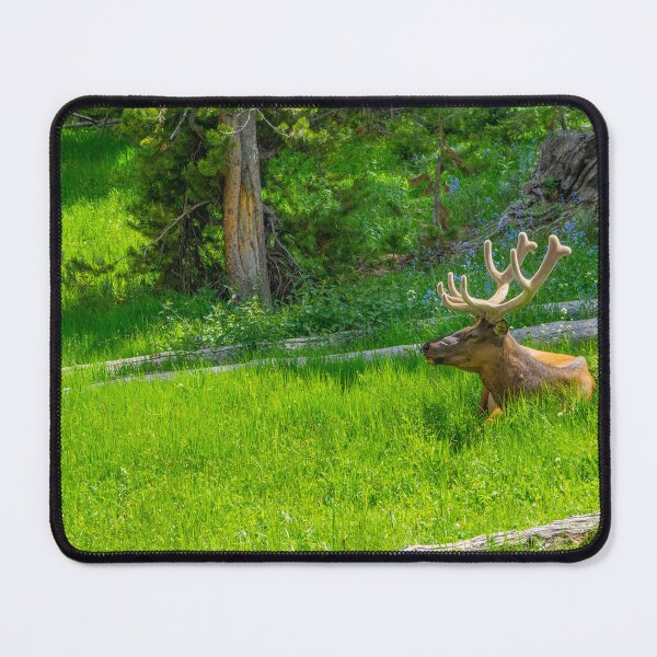 Item preview, Yellowstone Elk designed and sold by Imbeccable Images.
