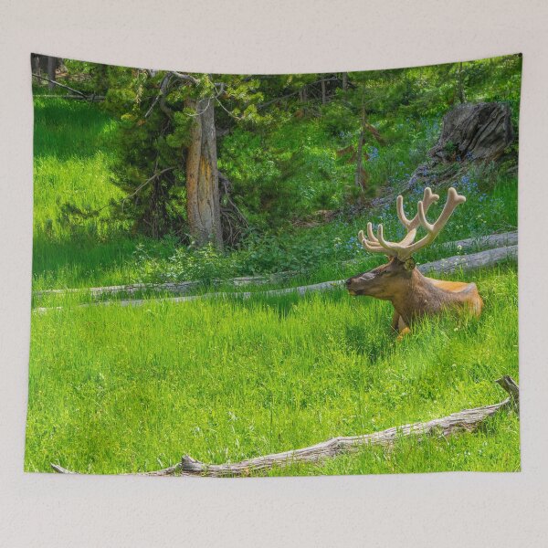 Item preview, Yellowstone Elk designed and sold by Imbeccable Images.