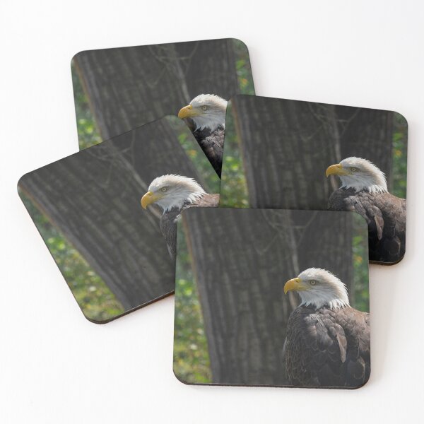 Item preview, Bald Eagle designed and sold by Imbeccable Images.