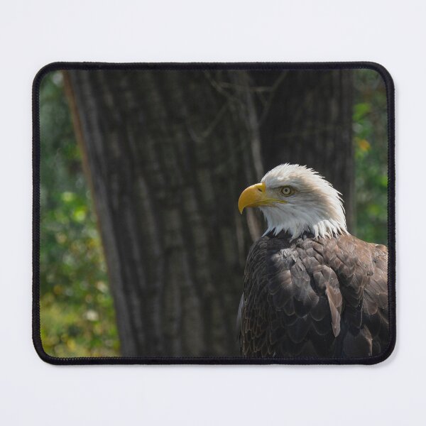 Item preview, Bald Eagle designed and sold by Imbeccable Images.