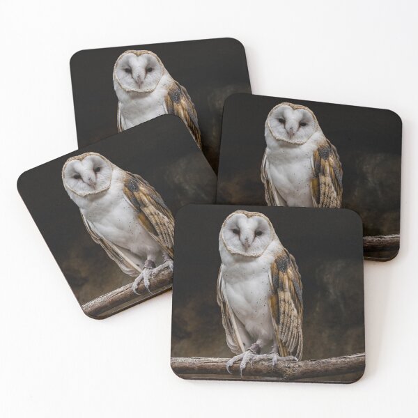 Item preview, Barn Owl designed and sold by Imbeccable Images.