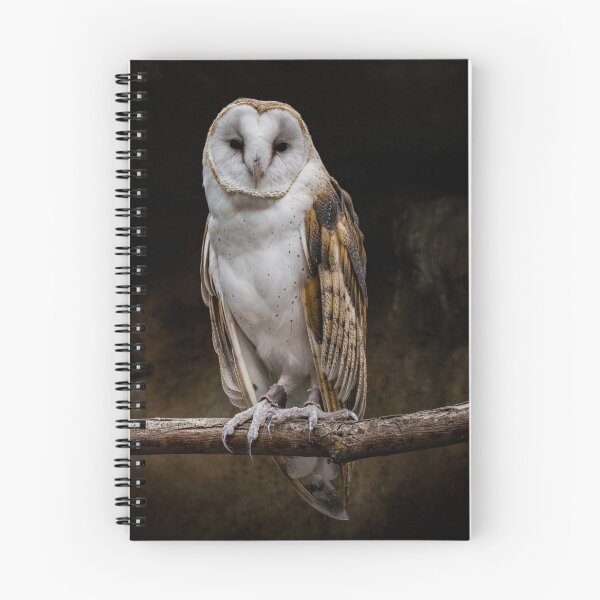 Item preview, Barn Owl designed and sold by Imbeccable Images.