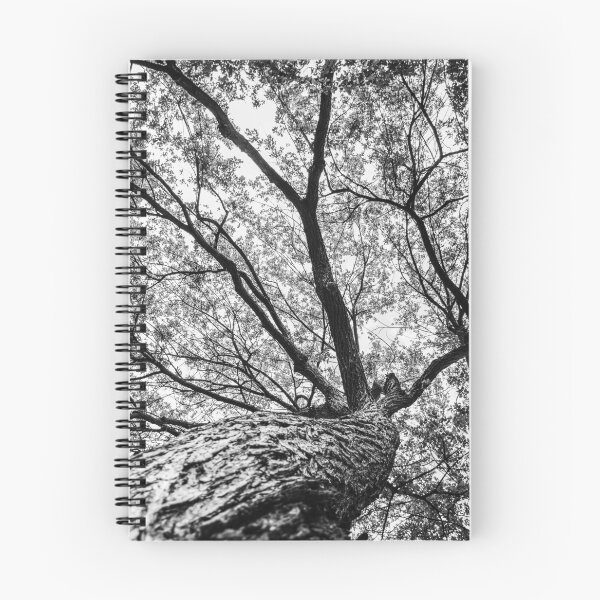 Item preview, Base of a Tree designed and sold by Imbeccable Images.