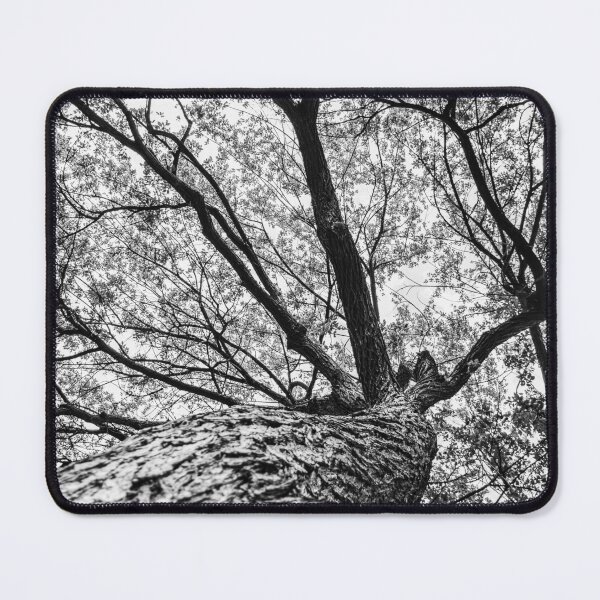 Item preview, Base de un árbol designed and sold by Imbeccable Images.