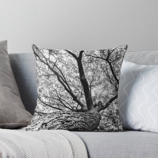 Item preview, Base of a Tree designed and sold by Imbeccable Images.