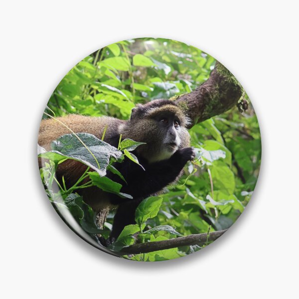Item preview, Golden Monkey designed and sold by Proud & Pretty Wildlife Photography.