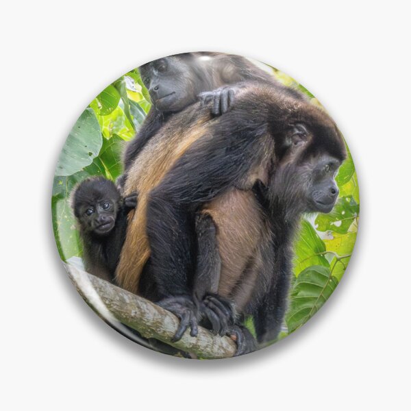 Item preview, Howler monkey family designed and sold by Lourdie5.
