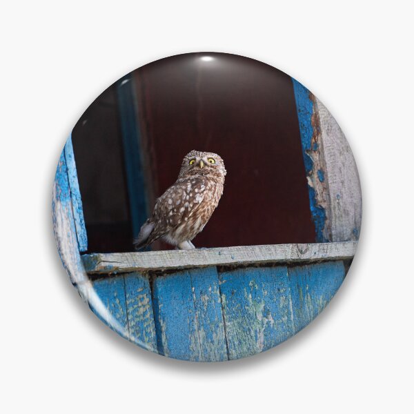 Item preview, Little Owl (Athene noctua) designed and sold by Andreas Koerner.