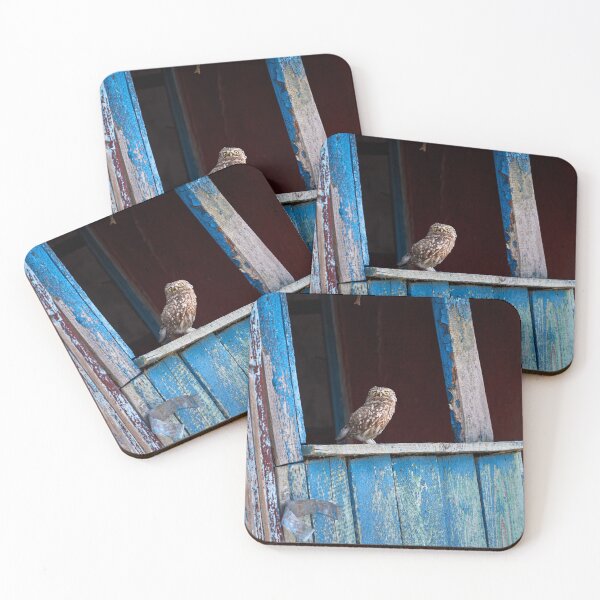 Item preview, Little Owl (Athene noctua) designed and sold by Andreas Koerner.